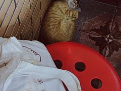 -老地方面馆(思南路店)