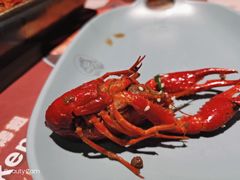 -馋嘴猫北京食堂·烤鸭·宵夜(亚运村店)