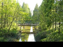 -黄海国家森林公园