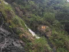 景点-磐安舞龙峡景区