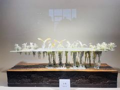 -大连自然博物馆