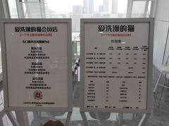 -爱洗澡的猫(望京店)