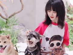 -帕帕拉兹宠物(亚洲旗舰店)