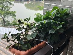 -顺德了能馆(虎门店)