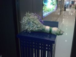 大堂-奈瑞儿美颜塑身SPA