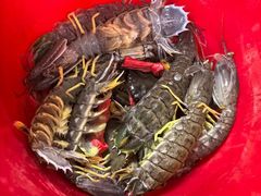 -师傅仔美食(东华老店)