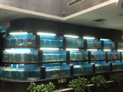 -王家渡火锅店(棕榈泉店)