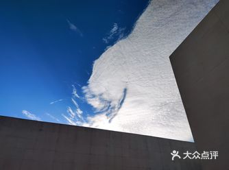 在门口差点摔了一个狗吃但是结局超暖