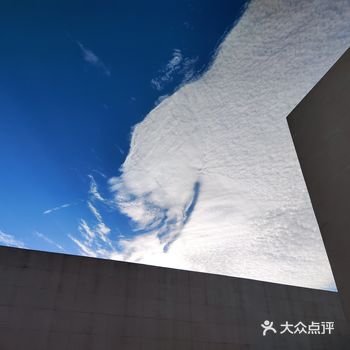 在门口差点摔了一个狗吃但是结局超暖