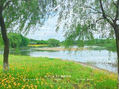 -贡湖湾湿地公园