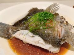清蒸笋壳鱼-圆苑(静安寺店)