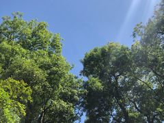 -窦圌山风景区