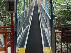-七仙岭温泉国家森林公园