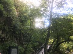 -茅兰沟国家森林公园