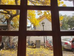 -巴渝兄弟川菜(宽街店)