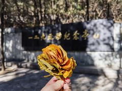 -国家植物园