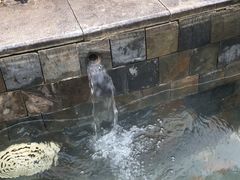-崇阳三特浪口温泉
