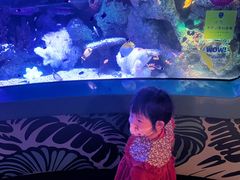 -沈阳海洋探索中心