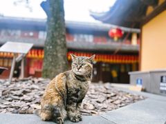 -龙华寺