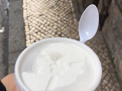 -洪馨椰子