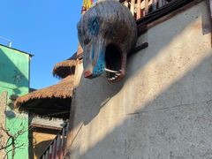 -呀路古热带植物园