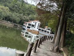 -深圳仙湖植物园