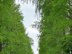 -东湖生态旅游风景区
