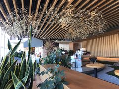 -Seesaw Coffee(朝阳大悦城店)