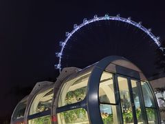 -新加坡摩天观景轮