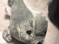 -大连星海皇冠假日酒店