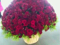 999朵求婚玫瑰-FEI FEI FLOWER鲜花店·气球派对·宝宝宴布置(虹口德必运动Loft店)