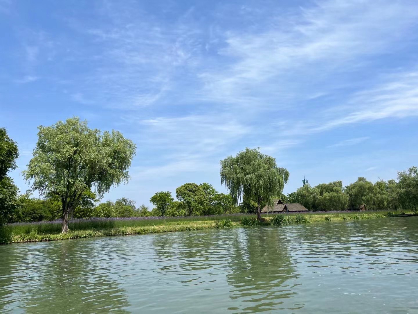 西溪湿地公园