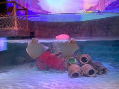 -沈阳海洋探索中心