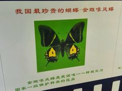 -上海昆虫博物馆