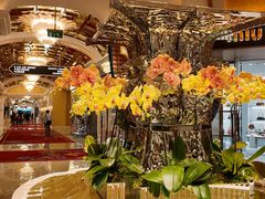 -Chanel(永利皇宫店)