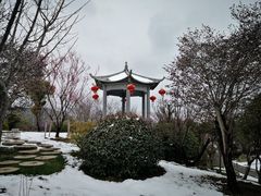 -南通洲际绿博园