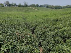 -南京市江宁方山