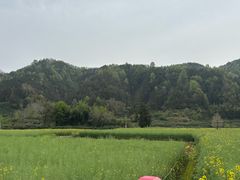 -新安江山水画廊风景区