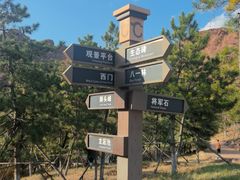 -红山国家森林公园