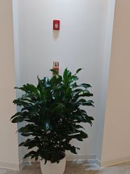 -天津伊美尔医疗整形美容专科医院