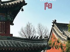 -洛阳白马寺