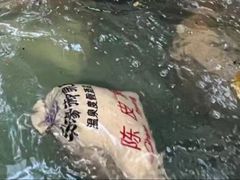 -深业半汤御泉庄温泉