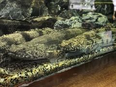 -太平洋海底世界