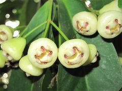 IMG_0626-茂德公草堂
