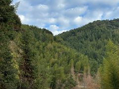 -南靖田螺坑土楼群景区
