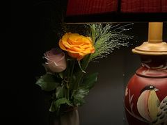 -弦月窗LUNETTE BY AMANDA(复兴路店)