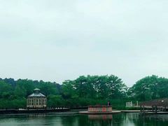 -大塘金香草谷