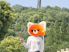 -上海佘山国家森林公园天马山园