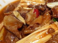 腐竹烧牛腩特写-蓬香楼