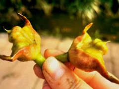 -白鹭湾湿地公园